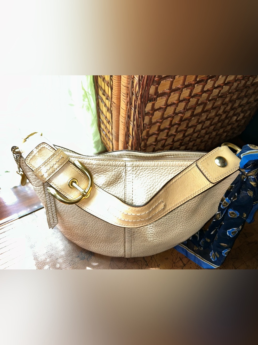 Neutral Beige Coach Soho Soft Milled Pebbled Leather Hobo Bag M0782-11838 - Picture 11 of 16